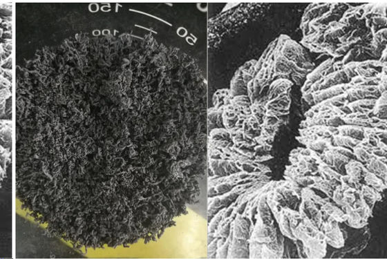 +100 Mesh High Carbon Expanded Graphite ผงผงผงผง