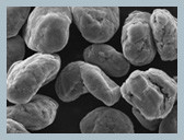 แบตเตอรี่ Li-Ion Hensen Graphite Anode วัสดุความบริสุทธิ์สูง